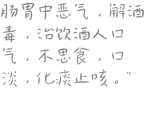 肠胃中恶气，解酒毒，治饮酒人口气，不思食，口淡，化痰止咳。”